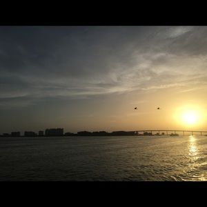 Meet your Posher, Bailey